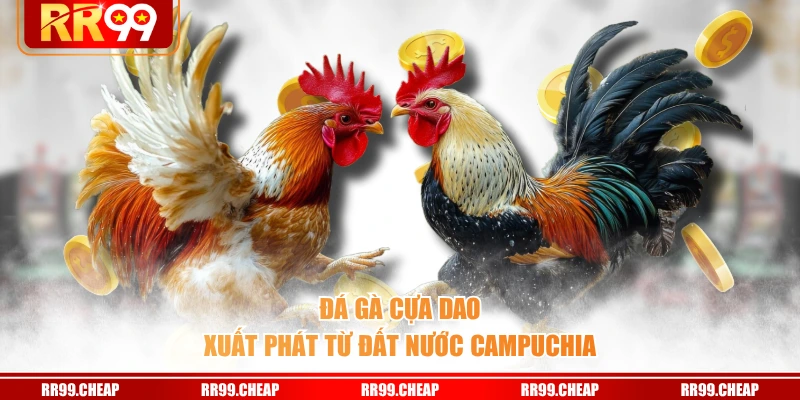 Đá gà cựa dao xuất phát từ đất nước Campuchia